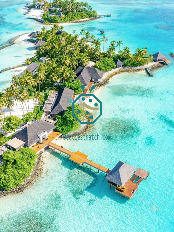 Cheval Blanc Randheli Waterfront Villa Synthetic Thatch Roofing Project #