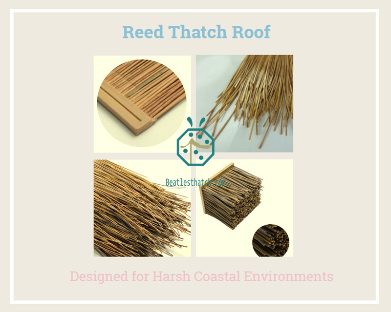 Synthetic plastic reed thatch roofing materials for Korea resort hotel pavilion construction