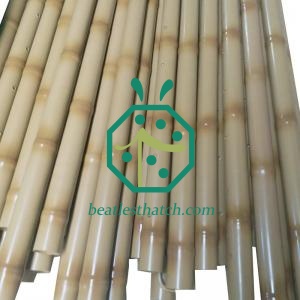 Long Stainless Steel Bamboo Sticks For Garden Edging Decoration