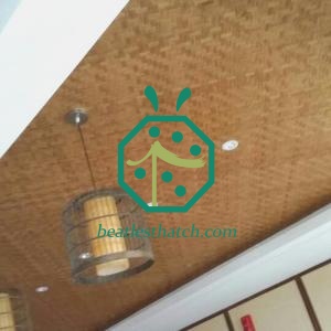 Muralha de escritório e design de teto rattan painel de rattan