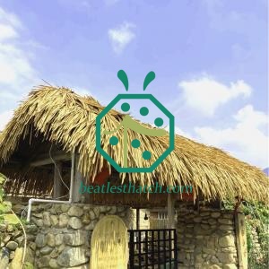 coreia choga telhado de palha de arroz artificial