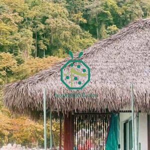 Substituição do telhado de bangalô sobre a água com cobertura artificial de palha de cadjan.