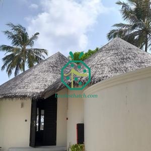 Exotic Bungalow Grass Thatched Roof Designs
