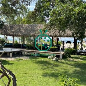 Telhado artificial de folhas de palmeira para cabana tiki
