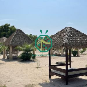 Cobertura de palha de palmeira impermeável para todas as condições climáticas, ideal para destinos turísticos em Palau.