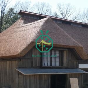 South Africa Artificial Lapa Thatch Roof Supplier