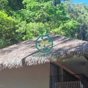 Architecture Malagasy House with Artificial Thatch Roof Panels Madagascar