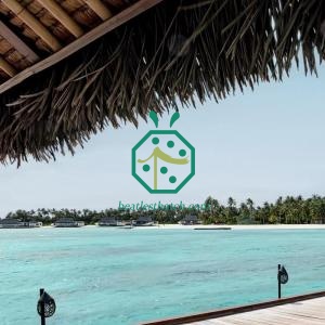 Maldives Artificial Thatched Roof Materials For Taste Restaurant