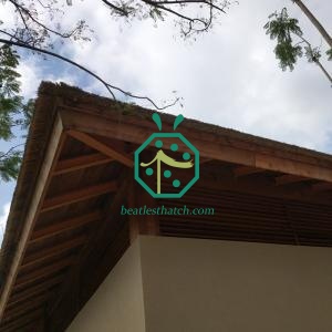 Architectural Reed Thatch Roof Covering for Landscape Projects