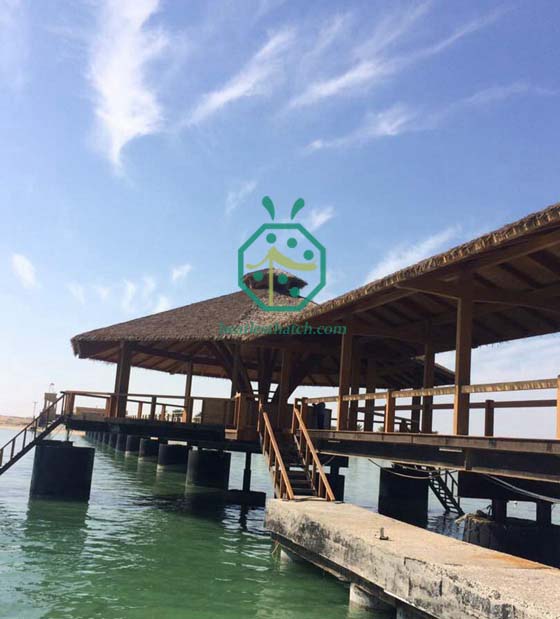 projeto de cobertura de palha do qatar para o parque à beira-mar