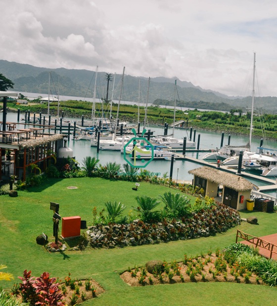 Cobertura de palha de fibra de palmeira para decoração de casas em Fiji Bure