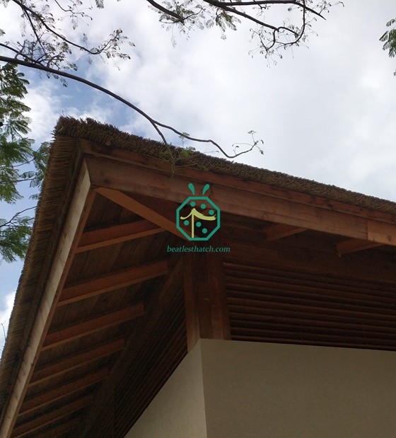 Projeto de cobertura de palha artificial para pátio de hotel à beira-mar