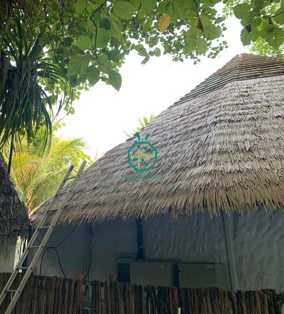 Projeto de telhado de colmo artificial Maldives Resort Hotel para Soneva
