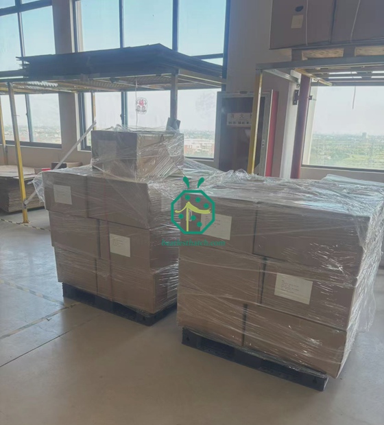 Remessas de telhados de fibra e telas de privacidade das Ilhas Seychelles