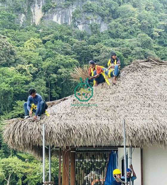 Construção de telhado de palha de cabana Nipa à prova de fogo nas Filipinas