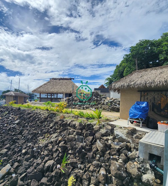Construção de casas na Ilha de Fiji com painéis de palha sintética