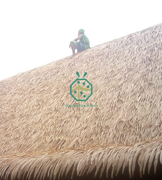 Projeto de Telhado de Palmeira Artificial no País da Oceania